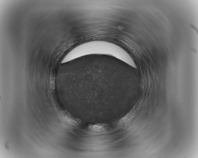 X0000095920180200802011221