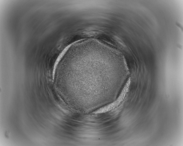 X0000095920182200802011221