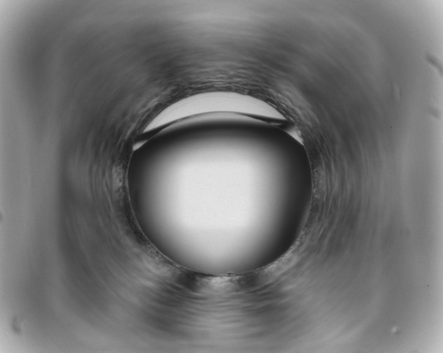 X0000095920184200802011221