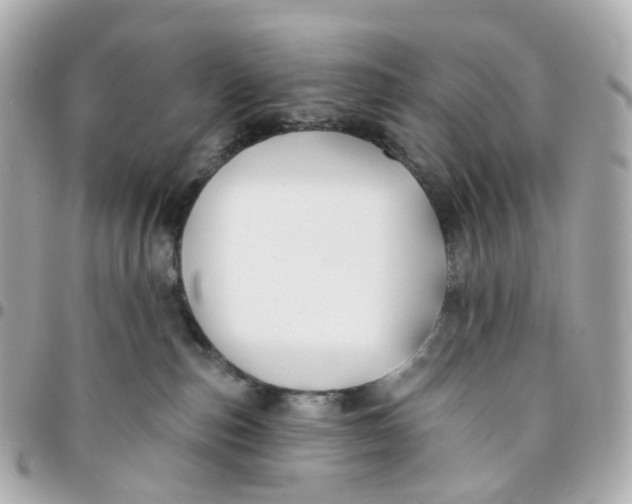 X0000095920187200802011221