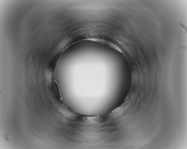 X0000095920188200802011221