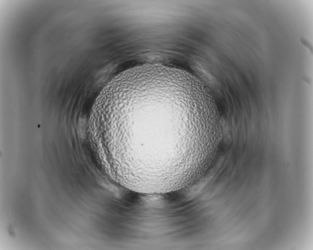 X0000095920189200802011221