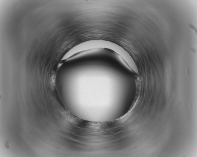 X0000095920190200802011221