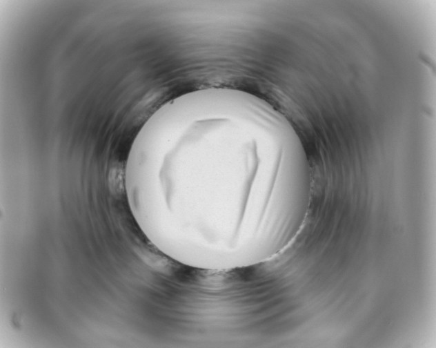 X0000095920191200802011221