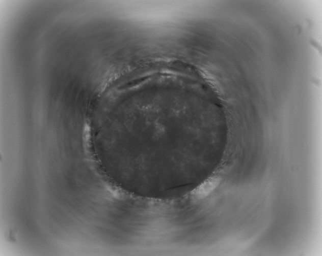 X0000095920192200802011221