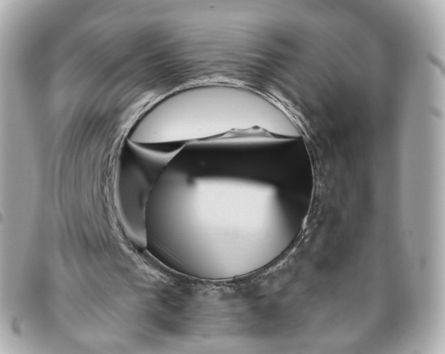 X0000095920193200802011220