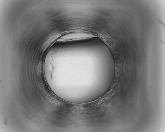 X0000095920194200802011220