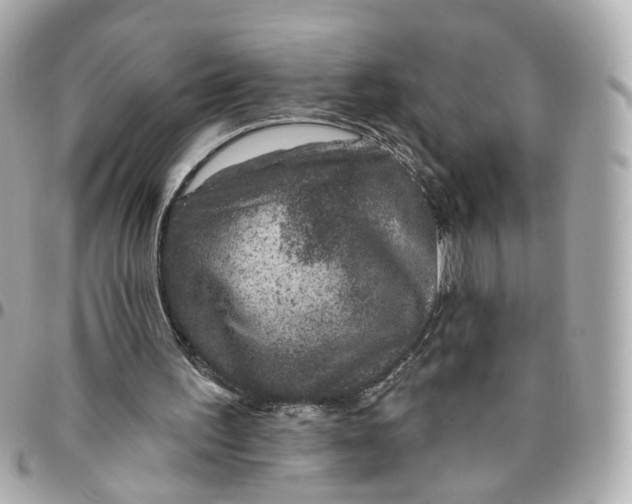 X0000095920195200802011220