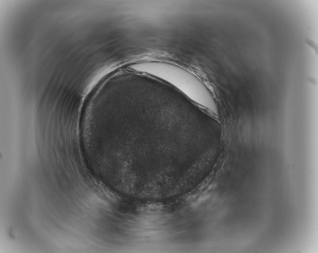 X0000095920196200802011220