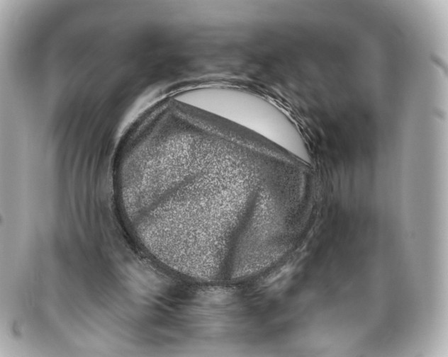 X0000095920198200802011220