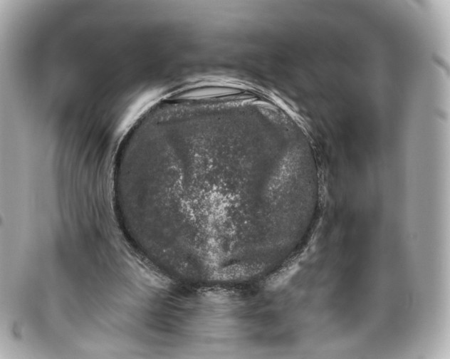 X0000095920199200802011220