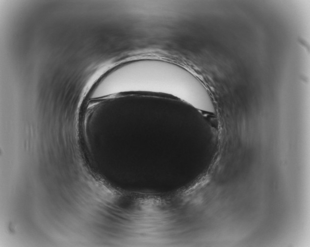 X0000095920200200802011220