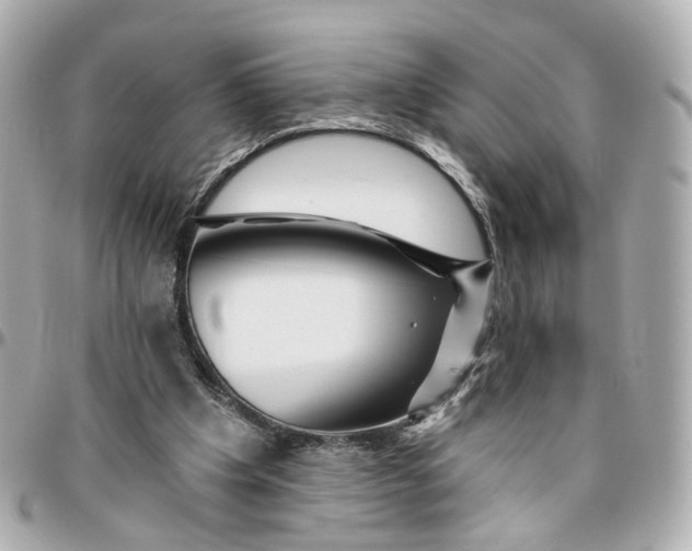 X0000095920201200802011220