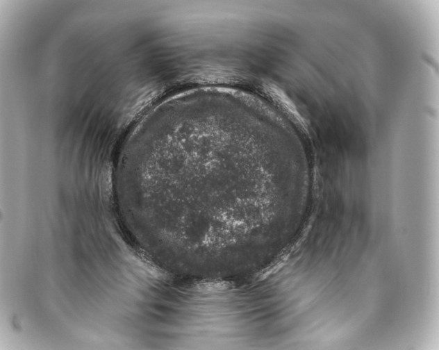 X0000095920202200802011220