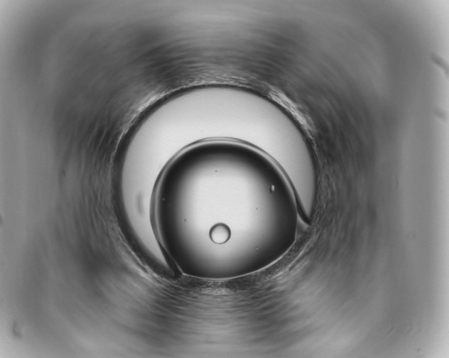 X0000095920203200802011220