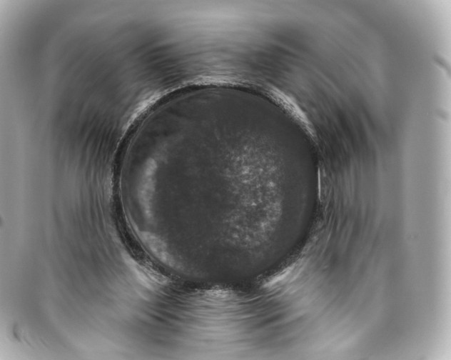 X0000095920204200802011220