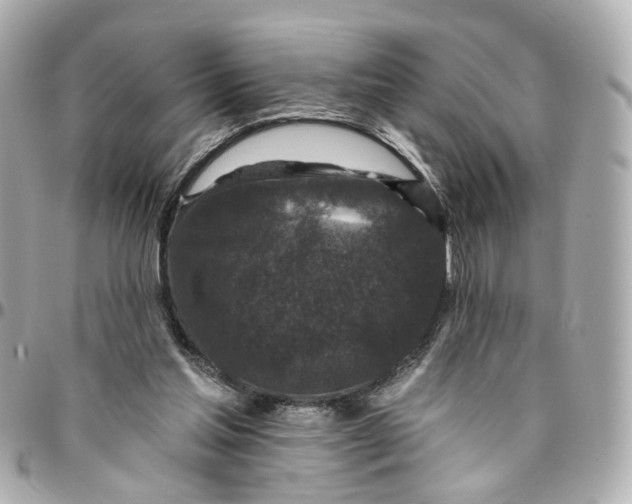 X0000095920205200802011220