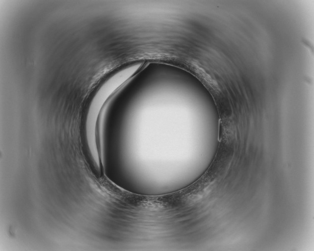 X0000095920207200802011220