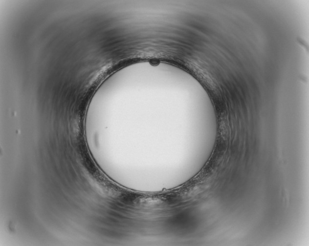 X0000095920208200802011220