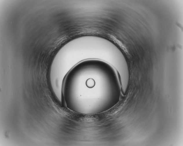 X0000095920209200802011220