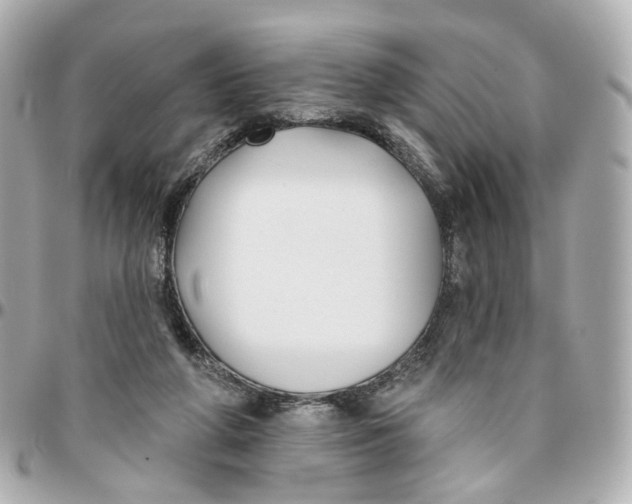 X0000095920210200802011220