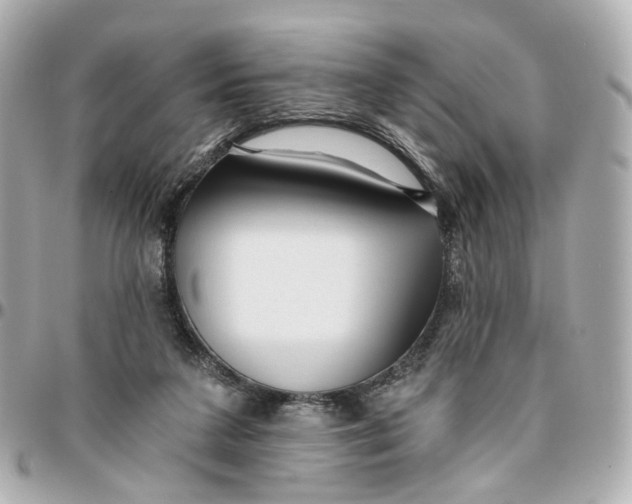 X0000095920211200802011220