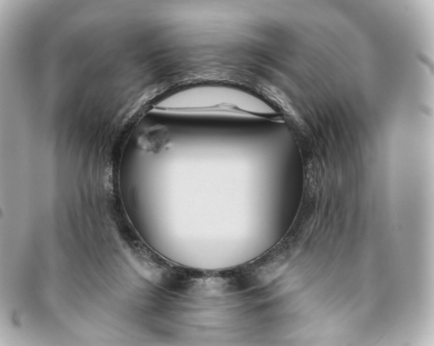 X0000095920212200802011220