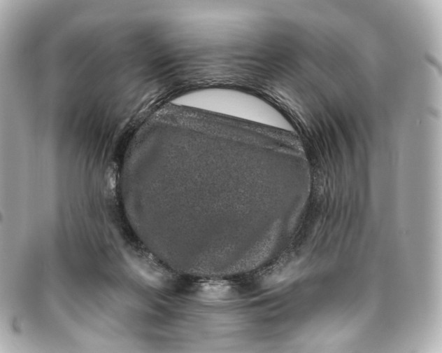 X0000095920214200802011220