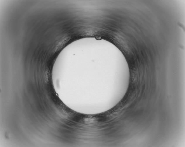 X0000095920216200802011220