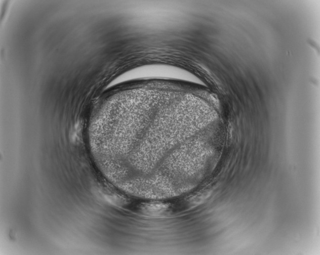 X0000095920217200802011220