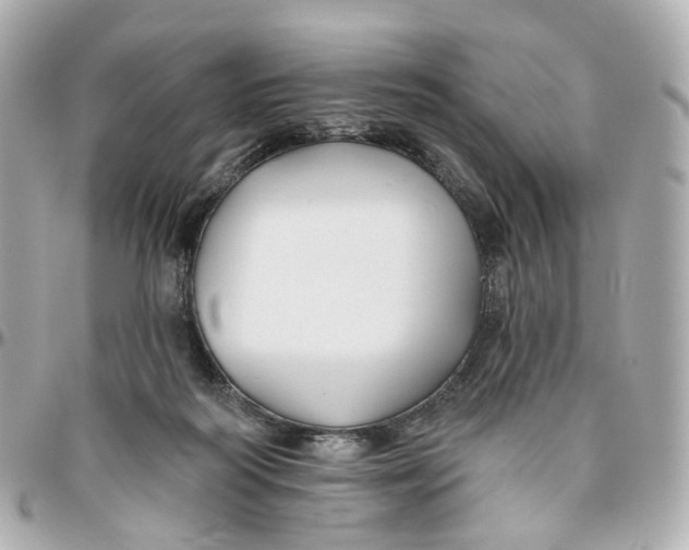 X0000095920218200802011220