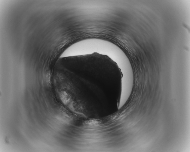 X0000095920219200802011220