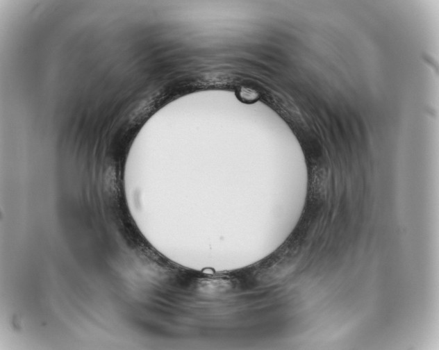 X0000095920220200802011220