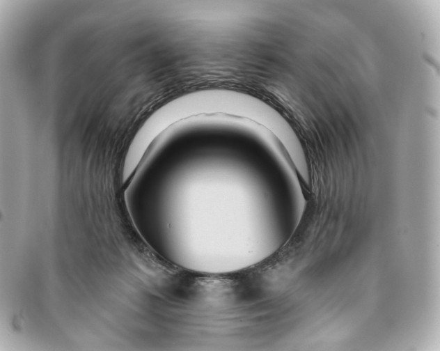 X0000095920221200802011220