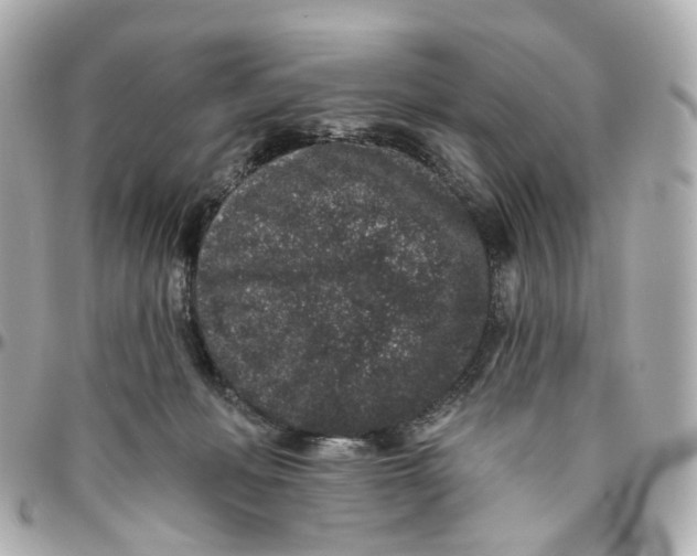 X0000095920222200802011220