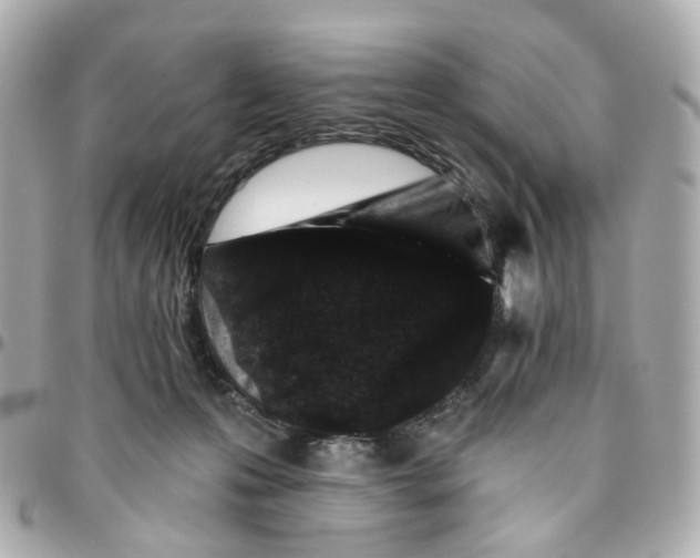 X0000095920223200802011220