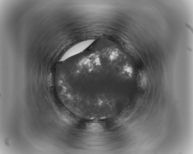 X0000095920224200802011220