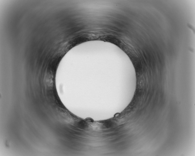 X0000095920226200802011220