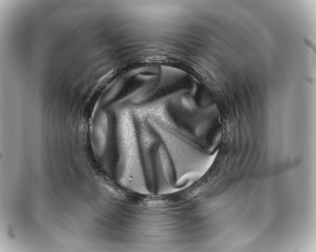 X0000095920228200802011220