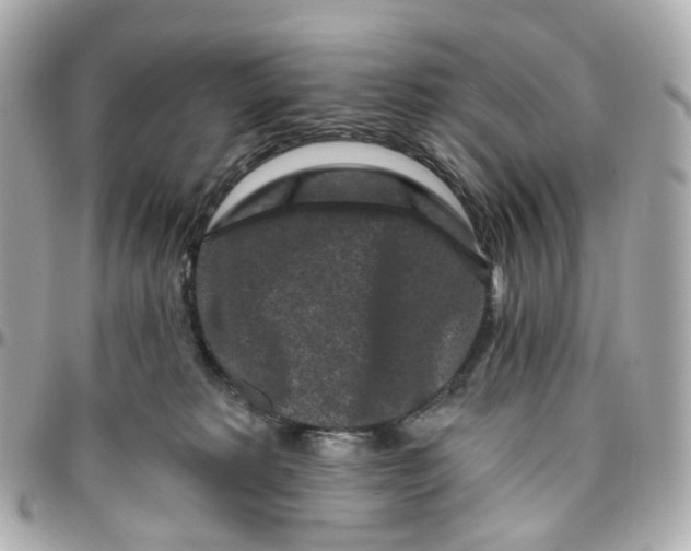 X0000095920229200802011220