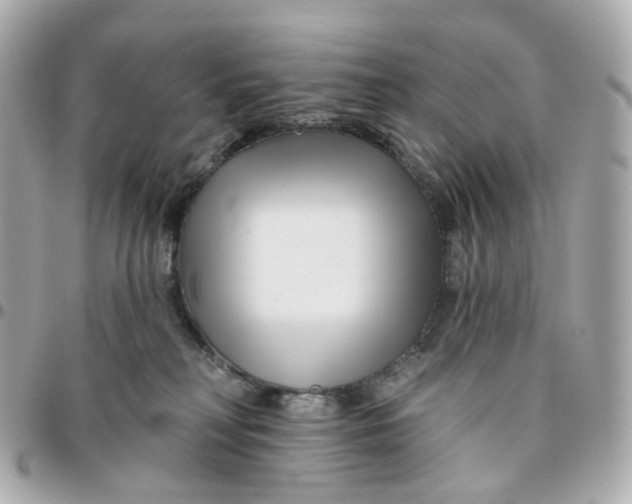 X0000095920230200802011220