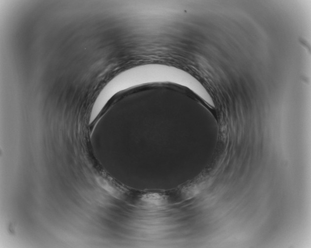 X0000095920231200802011220