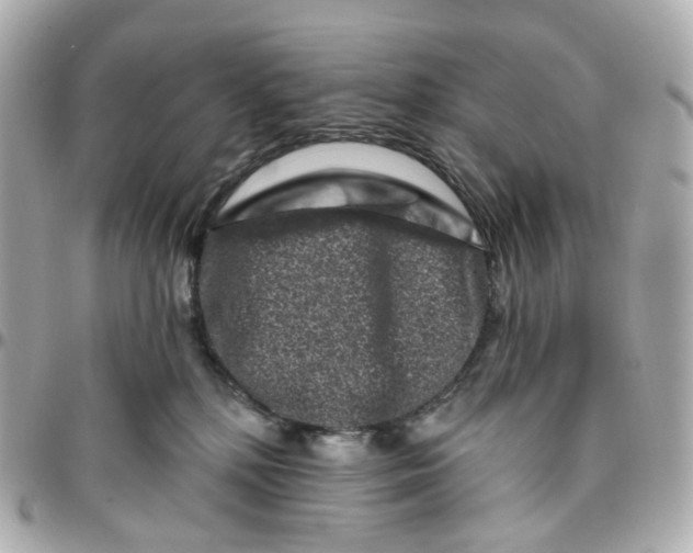 X0000095920232200802011220