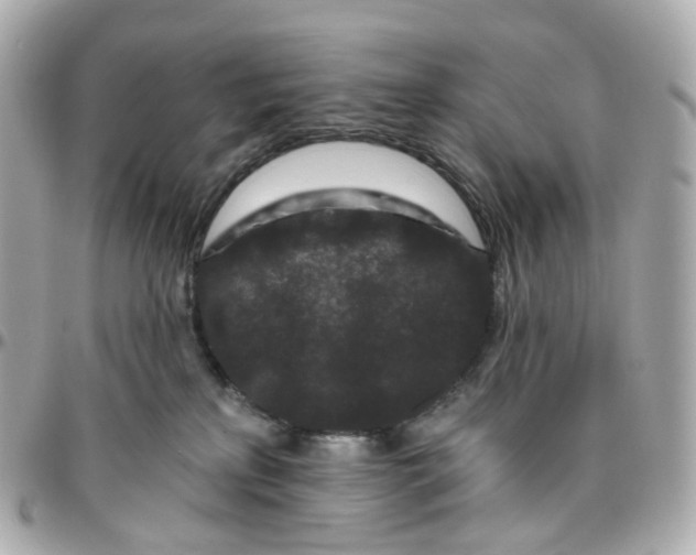 X0000095920233200802011220