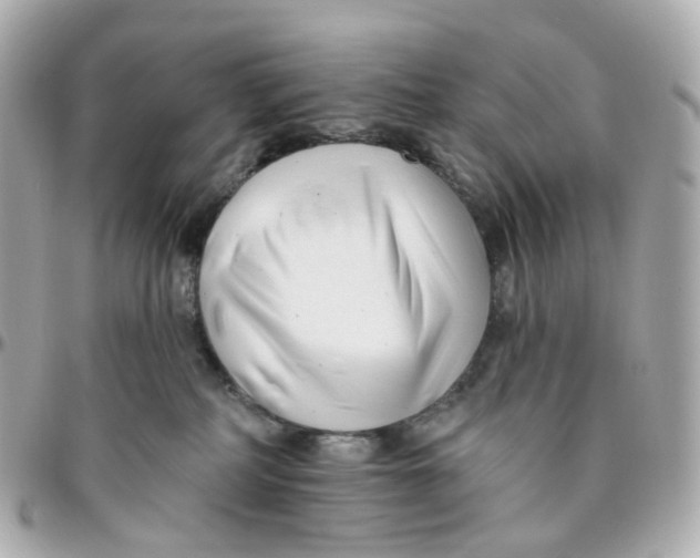 X0000095920234200802011220