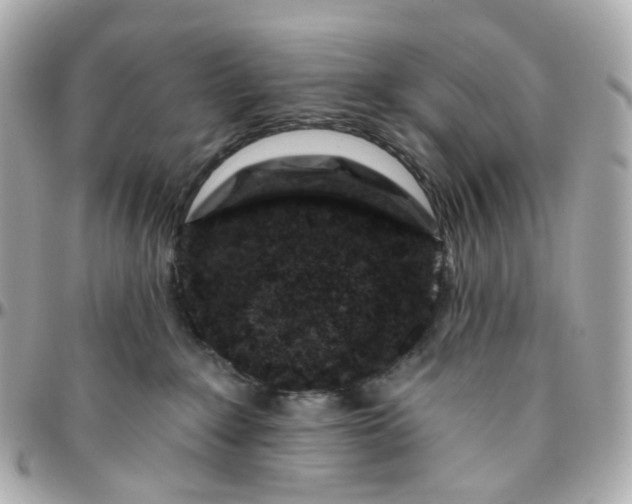 X0000095920235200802011219