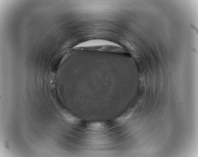 X0000095920237200802011219