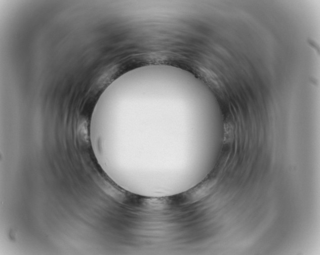 X0000095920238200802011219