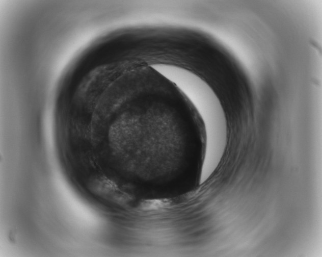 X0000095920239200802011219