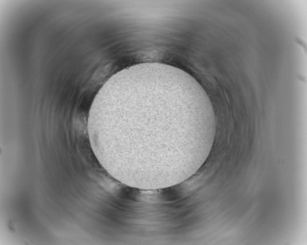 X0000095920240200802011219